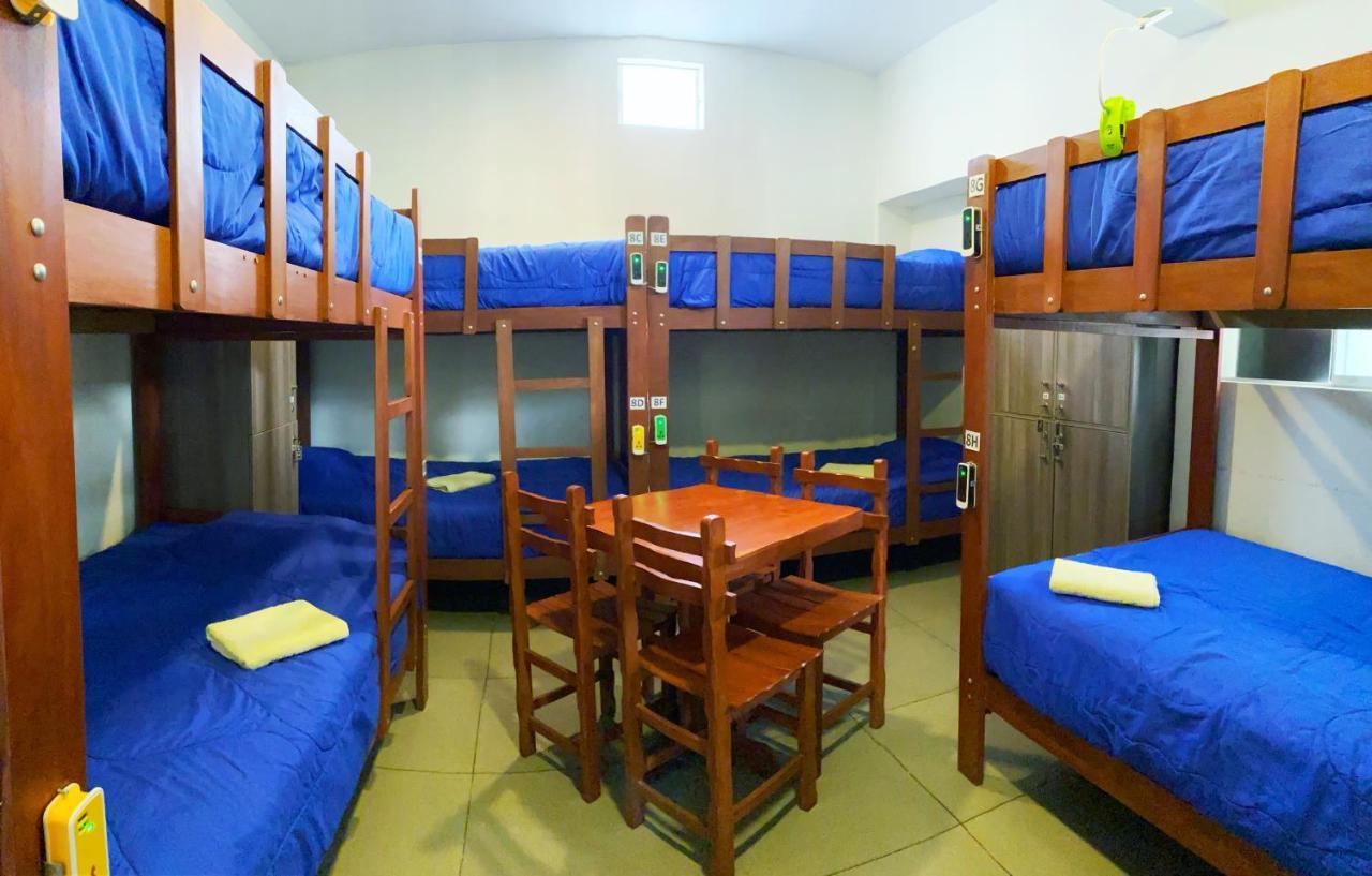 Bed in 8-Bed Mixed Dormitory Room,1154495109:JPEG